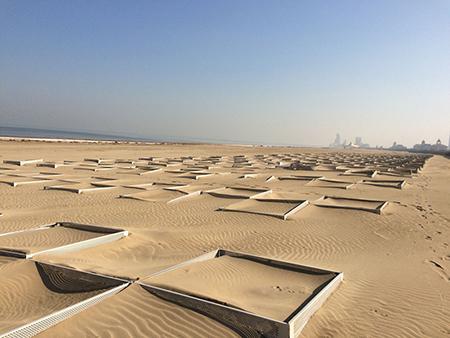 Barreras de protección contra la arena para desierto